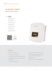 Solis 1 KW Monofaze On Grid Inverter