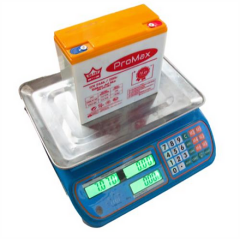 Ortec Promax 12V 24 AH Amper Elektrikli Motosiklet Aküsü